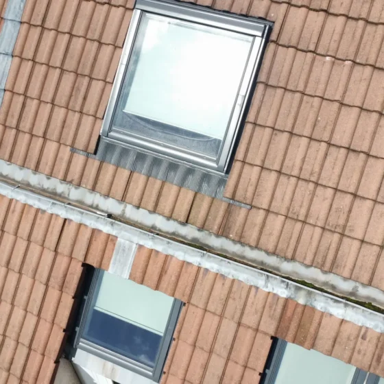 dji_fly_20240515_113614_37_1715766347682_photo_optimized
